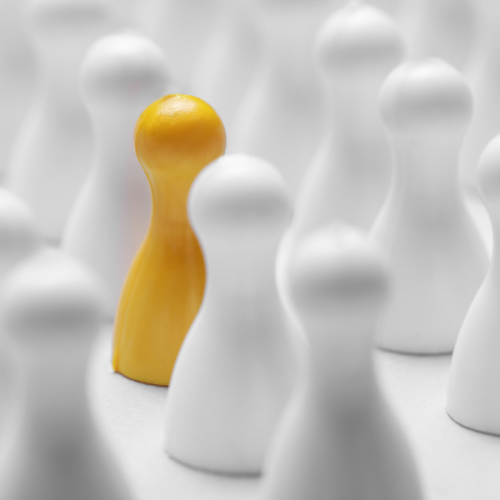 Meslek Seçimi Nasıl Yapılır?